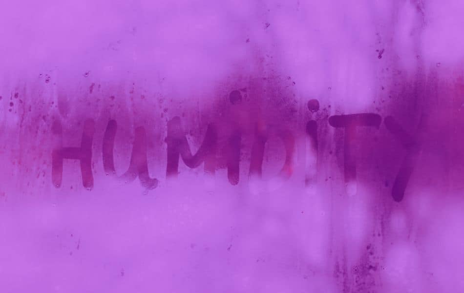 Umidità in condominio: chi paga davvero?